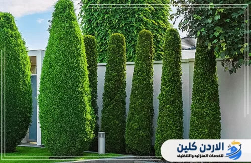 أفضل شركة في تنسيق الحدائق