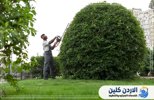 شركة تنسيق الحدائق الداخلية والخارجية