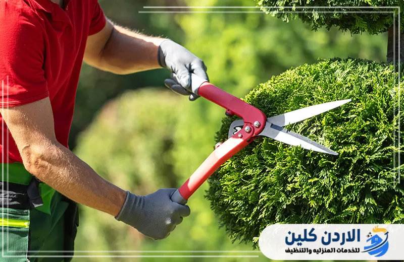 شركة تنسيق حدائق في الأردن