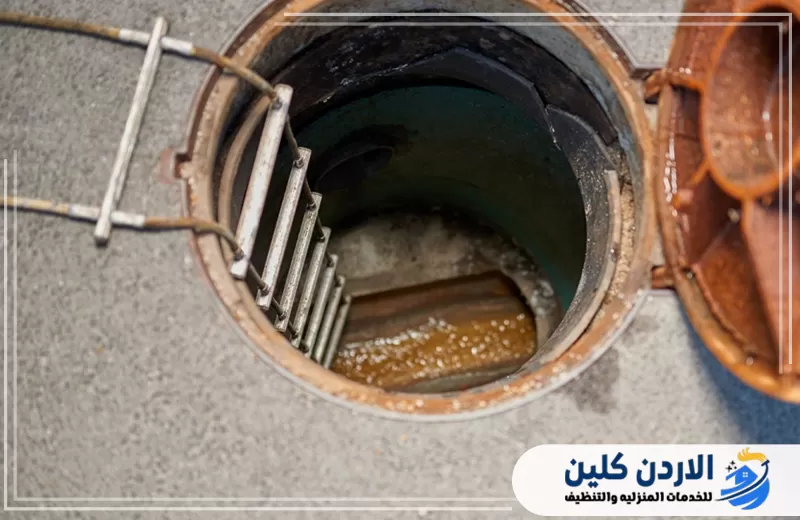 حشرات المجاري