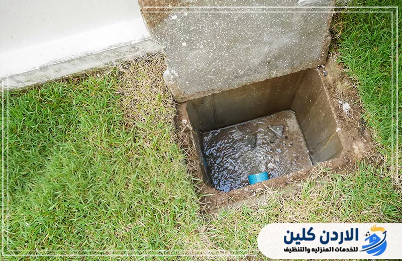 ما هو ذباب المجاري