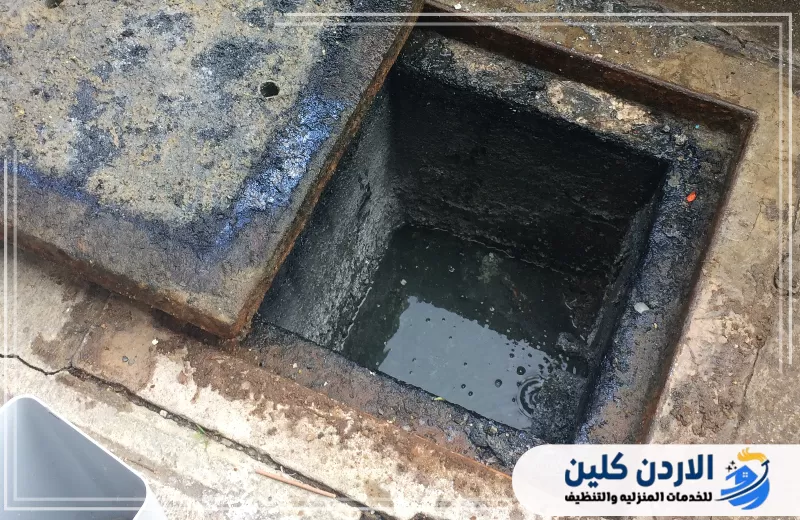 كيفية التخلص من حشرات البلاعات
