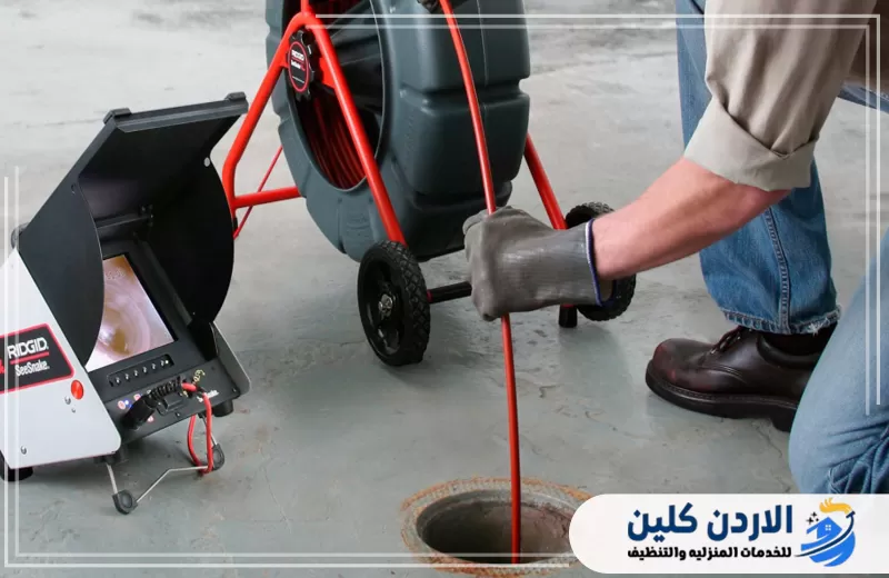 حشرات المجاري​