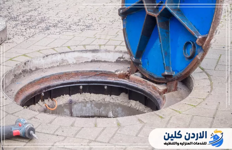 كيفية التخلص من حشرات البلاعات