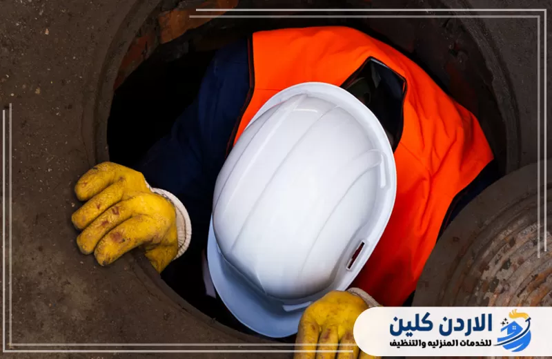 الفرق بين ذباب المصارف وذباب الفواكه