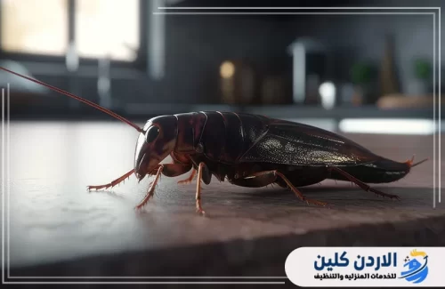 تأثير الطقس الدافئ على دورة حياة الحشرات