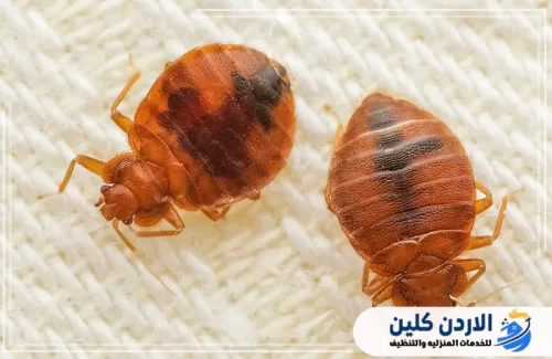 استخدام وسائل التحكم المتكاملة