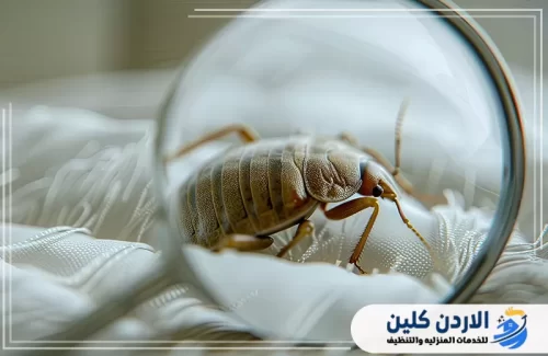تأثير الارتفاع العالمي لدرجات الحرارة على تغيرات النظم البيئية