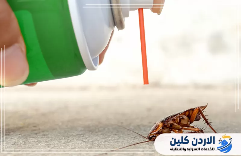 اطلب رش الصراصير في الأردن اليوم 0798779667. تنفيذ رش مباشر لمكافحة الصراصير باستخدام عبوة مخصصة للوصول إلى الحشرات في أماكن اختبائها.