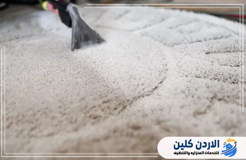 تنظيف عميق للسجاد ذي الوبر الكثيف باستخدام معدات تساعد على تفكيك الأوساخ وسحب الرطوبة.