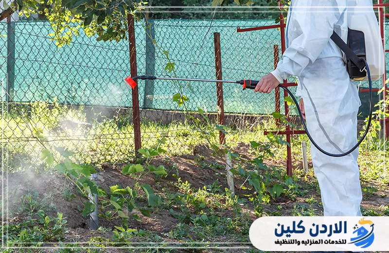 فني يرش منطقة مزروعة داخل حديقة باستخدام معدة رش لمكافحة الآفات والحشرات الموجودة حول النباتات.