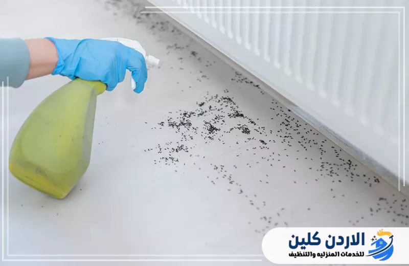 اتصل على 0798779667 لمكافحة النمل رش منطقة ينتشر بها النمل داخل المنزل باستخدام محلول مخصص لمعالجة مسارات الحشرات وأماكن تجمعها.