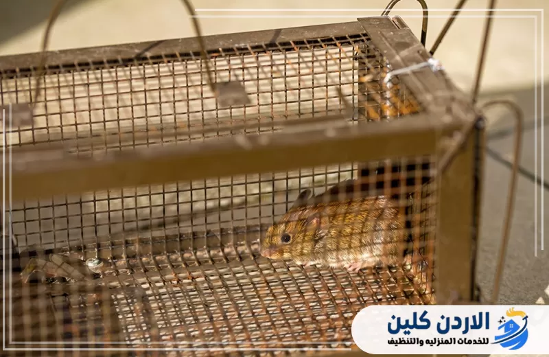 عقود مكافحة الحشرات والقوارض في الأردن