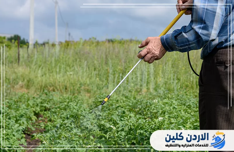 رش النباتات في مساحة زراعية باستخدام أداة طويلة للوصول إلى مناطق الإصابة ومعالجة الآفات المنتشرة بين المزروعات.