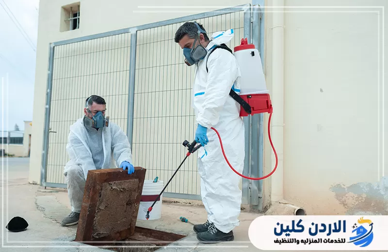 فريق مختص ينفذ رش ومعالجة لفتحة صرف خارجية باستخدام معدات وقاية مناسبة لضمان مكافحة فعالة وآمنة.