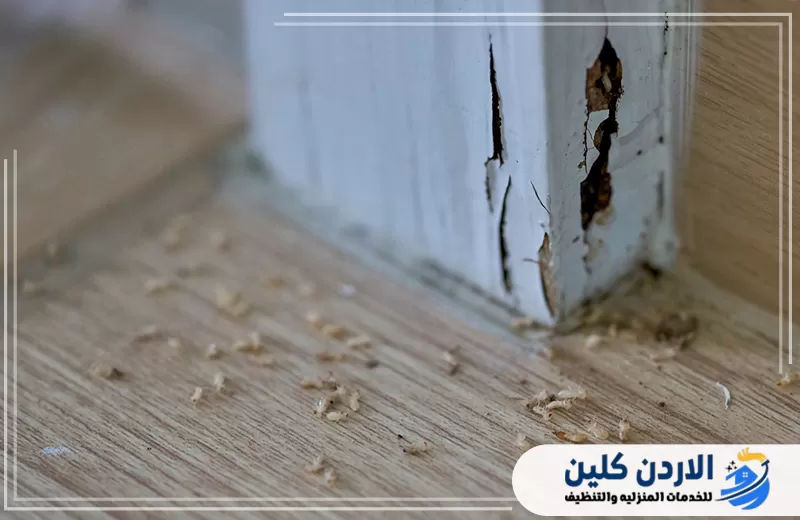 تلف ظاهر في اسفل الخشب بسبب النمل الابيض مع بقايا حفر تدل على وجود اصابة تحتاج فحصا سريعا.
