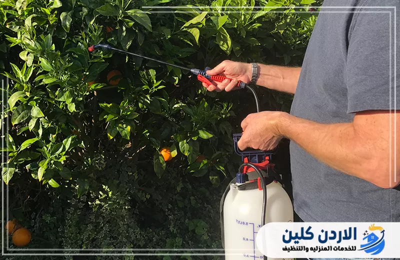تنفيذ رش مباشر على أشجار ونباتات الحديقة باستخدام مضخة مخصصة لمكافحة الحشرات والآفات الزراعية.